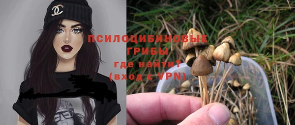 spice Алзамай
