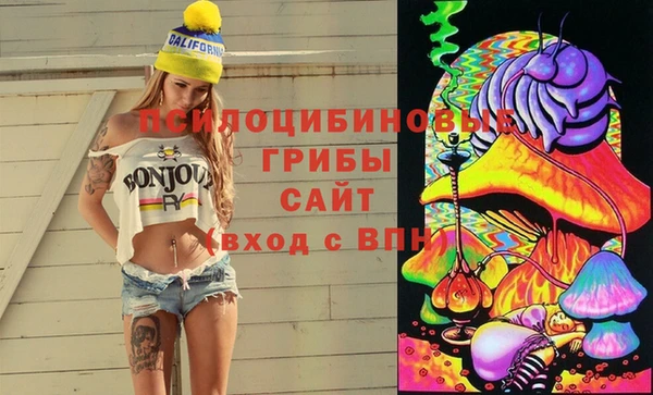 стаф Алексин