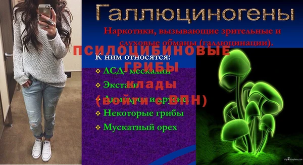 spice Алзамай