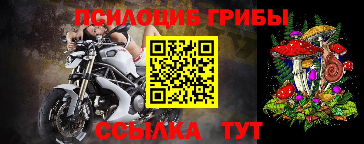 Псилоцибиновые грибы мицелий  наркотики  Соликамск  Вход с VPN  Псилоцибиновые грибы Psilocybe 