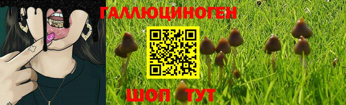Галлюциногенные грибы Cubensis Соликамск